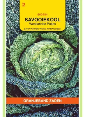 Imagen del producto de Oranjeband Wirosa - 1 paquete de semillas