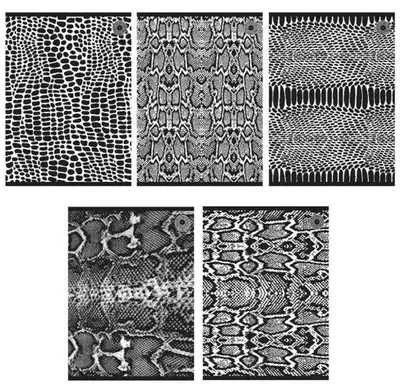 Immagine prodotto di Quaderno A5/80K, righe, Snakes 1 (5 pezzi) - Ziemia Obiecana