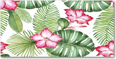 Produktbild von Tulup® Glas-Bild - 100x50 -Wandkunst - Wandbild hinter gehärtetem Sicherheitsglas  - Blumen & Pflanzen - Tropische Blumen - Rosa