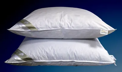 Produktbild von 2 Stück Daunenkissen Kopfkissen 80x80 Kissen 100% neue Daunen 450g weich