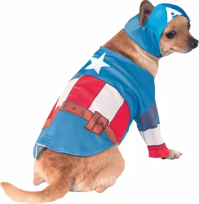 Produktbild von Captain America Hundekostüm Hundegröße: M