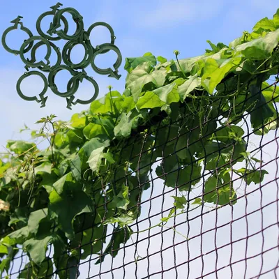 Zdjęcie produktu dla Klipsy do pomidorów, róż, ogórków i innych roślin pnących, siatka do roślin pnących 2x7,5 m