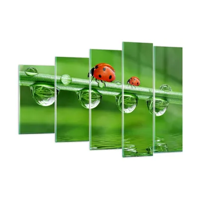 Produktbild von Bilder auf glas - Marienkäfer Wasser Grün Umwelt - 150x100cm - Glasbilder - Wandbilder - Kunstdruck - zum Aufhängen bereit - Wanddekoration aus Glas - Glas Bilder - Wandbild auf Glas - GEG150x100-2661