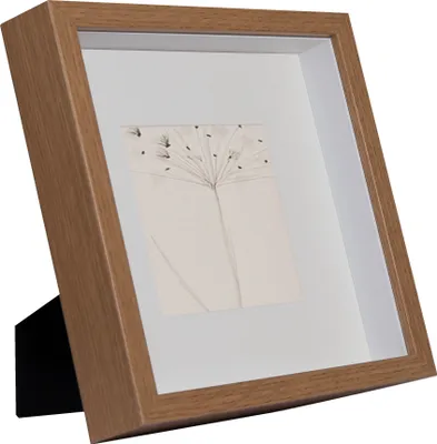 A framed picture with a drawing of a plant.