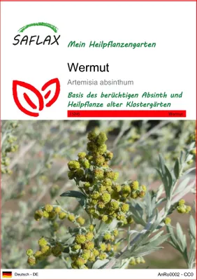 Produktbild von SAFLAX  - Wermut - Artemisia absinthum - 500 Samen