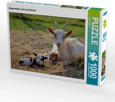 Produktbild von CALVENDO Puzzle Ziegenmutter und zwei Zicklein | 1000 Teile Lege-Größe 64x48cm Foto-Puzzle für glückliche Stunden