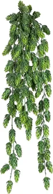 Produktbild von Kunstpflanze Hopfenhänger Höhe: 75 cm grün