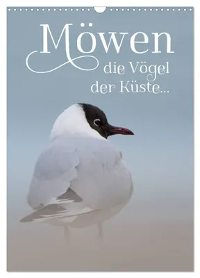 Produktbild von Möwen - die Vögel der Küste (Wandkalender 2027 DIN A3 hoch), CALVENDO Monatskalender