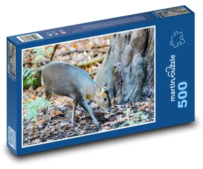 Obrázek produktu pro Puzzle 500 Muntžak v lese - martinpuzzle