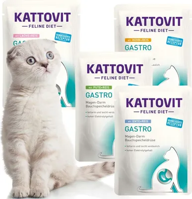 Zdjęcie produktu dla Kattovit Gastro Multipack, Dorosły, Kurczak, Kaczka, Ryż, Łososiowy, Turcja, 85 g