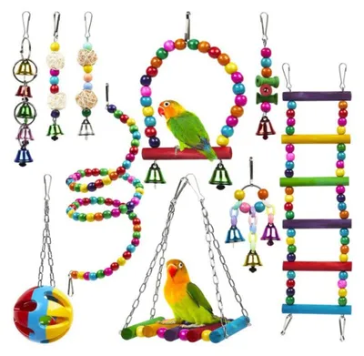 Image de INF Ensemble de 10 jouets pour oiseaux - Bois de pin et métal, accessoires de cage pour perroquets et perruches petits à moyens
