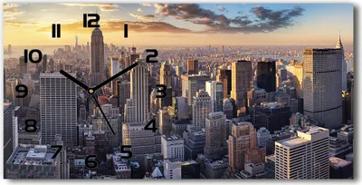Produktbild von Wanduhr aus Glas – 60x30 cm - Glasbild - Glasuhr - Gehärtetes Glas - schwarze-zeiger - New York Vogelflug
