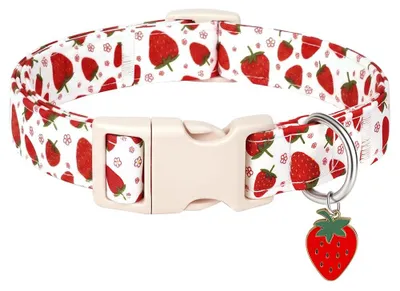 Productafbeelding van Hondenhalsband met Aardbeienpatroon, Verstelbaar en Rutschfest (S)