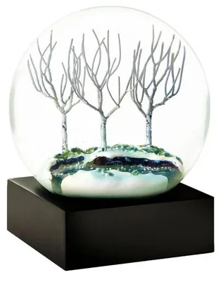 Produktbild von Cool Snow Globes Schneekugel Winter
