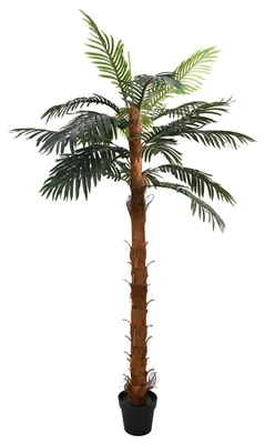 Obrázok produktu pre vidaXL Umelá kokosová palma, zelená, 70 x 20 x 200 cm