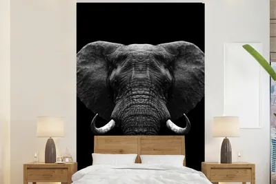 Produktbild von MuchoWow® Fototapete für Wohnzimmer oder Schlafzimmer Wandtapete Vinyl Motivtapete Tiere - Elefant - Porträt - Schwarz - Weiß - 160x240 cm - Vinyltapete