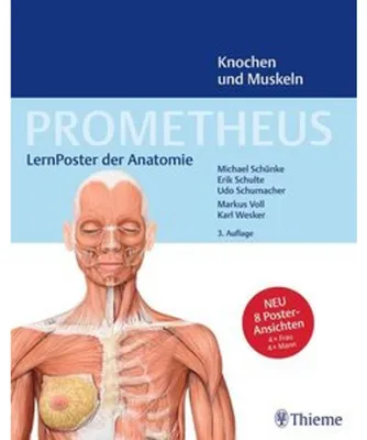 Produktbild von PROMETHEUS LernPoster der Anatomie, Knochen und Muskeln