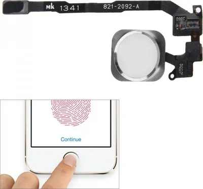 Immagine prodotto di Apple iPhone 5S Pulsante Home Sensore Touch ID Cavo flessibile Accessori Pulsante Home