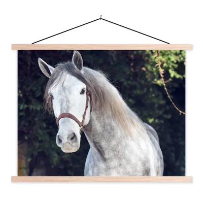Produktbild von MuchoWow® Textilposter Pferd - Halfter - Natur 60x45 cm mit holzfarbenen Rahmen - Bild