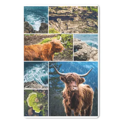 Produktbild von MuchoWow® Mauspad Mousepad Schottischer Highlander - Collage - Tiere 18x27 cm - Mousepads - Maus Mat - Pad - Mausunterlage