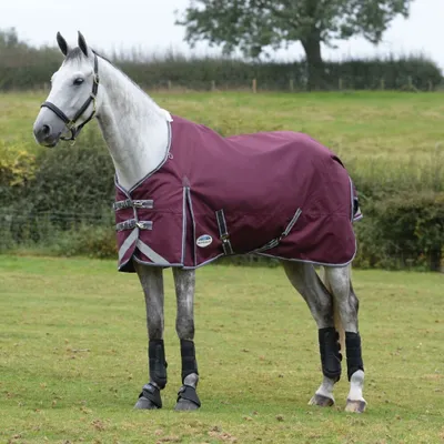 Produktbild von Weatherbeeta Comfitec Plus Dynamic II Standard Medium 220g - maroon/grey/white, 145