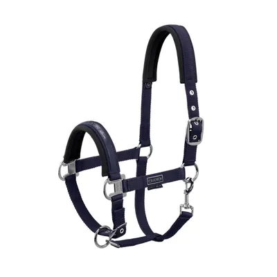 Produktbild von Eskadron Halfter Double Pin BUCKLE, mit Schriftzug, Dornschnalle Größe - Vollblut Farbe - navy