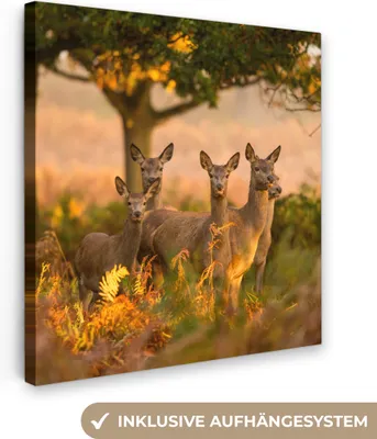 Obrázek produktu pro OneMillionCanvasses® - Plátno - Podzim - Slunce - Jelen, nástěnná malba, nástěnné dekorace obrazy obývací pokoj, 50x50cm