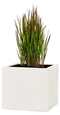 Produktbild von ® Pflanzkübel Cube Sand 30x34x34cm *Frostbeständiger Blumenkübel* *UV-Schutz* *Qualitätsware*