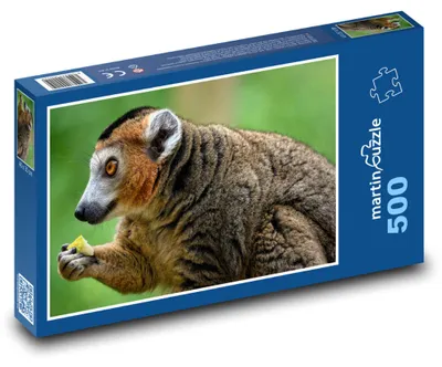 Zdjęcie produktu dla Puzzle 500 Lemur z pyszną zdobyczą - martinpuzzle