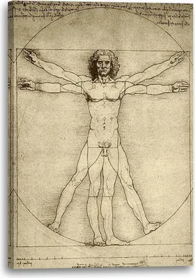 Produktbild von Leinwandbild (80x120cm): Leonardo da Vinci - Vitruvianischer Mensch, echter Holz-Keilrahmen inkl. Aufhänger, handgefertigt in Deutschland