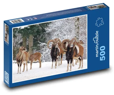 Obrázek produktu pro Puzzle 500 Mufloni v zimním lese - martinpuzzle