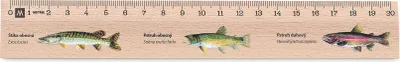 Obrázek produktu pro Metrie | Didakt-M02, Dřevěné pravítko s potiskem | Ryby | 20 cm