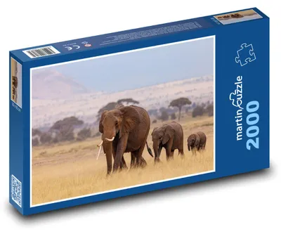 Obrázek produktu pro martinpuzzle - Puzzle 2000 - Sloní stádo