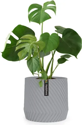 Produktbild von Famanu Pflanzenpot UV- und Frostbeständig - 30,5 cm Durchmesser