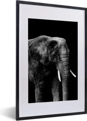 Produktbild von MuchoWow® Gerahmtes Poster Elefant auf schwarzem Hintergrund - schwarz und weiß 40x60 cm - Poster mit Schwarzem Bilderrahmen Wandposter Rahmen Foto Bilder - Poster in Rahmen