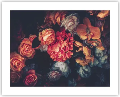 Produktbild von Poster - Poster ohne Rahmen - Blumenstrauß Blumen Rosen - 50x40 cm - Wand Bild - Wanddeko - Wandbilder - Kunstposter - Wandposter - Bilder - Kunstdruck - Wanddekoration - Wandbild - P2XAA50x40-5002