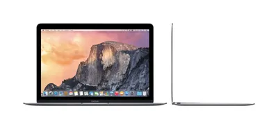 Produktbild von Apple MacBook 12 MJY42D/A spacegrau
