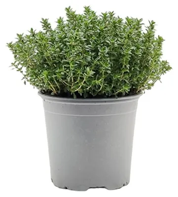 Produktbild von Warentuin Producten