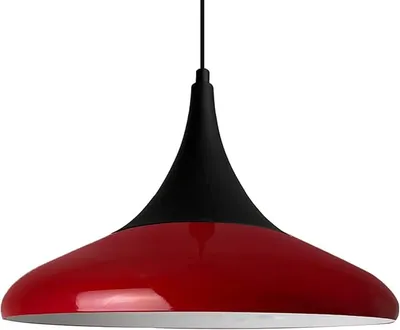 A pendant light fixture against a white background.