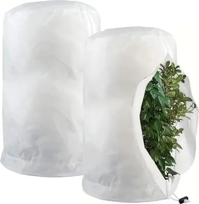 Produktbild von Pflanzenschutzhaube 80 x 100 cm, 2 Stück, Polypropylen, für Garten