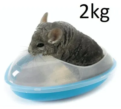 Produktbild von Aquarium Sand, Quarzsand 0,5 mm 2 kg für Chinchillas