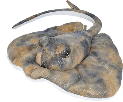Produktbild von Wild Republic - Kuscheltier - Cuddlekins - Stechrochen