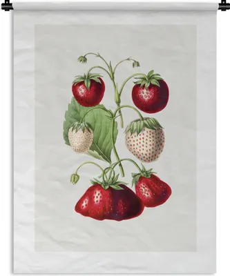 Produktbild von MuchoWow® Wandteppich Wandbehang Erdbeere - Lebensmittel - Obst 150x200 cm Tapisserie Dekoration Wandtuch - Wandaufhängung - Moderner