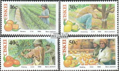 Produktbild von Briefmarken Südafrika - Ciskei 1988 Mi 141-144 (kompl.Ausg.) postfrisch Zitruswirtschaft