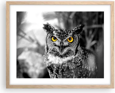 Produktbild von Gerahmtes Poster - Rahmen in heller Eiche - Eule Vogel Natur - 50x40 cm - Wand Bild - Wanddeko - Wandbilder - Kunstposter - Wandposter - Bilderrahmen - Bilder - Kunstdruck - Wandbild - P2NAA50x40-1318