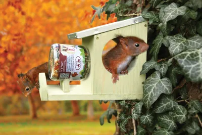 Produktbild von Esschert Design Eichhörnchen Erdnussbutterhaus; WA28