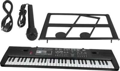 Produktbild von 61 Keys Digital Music Electronic Organ Portable Keyboard with Microphone for Children