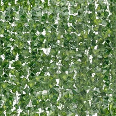 fensterblatt moosstab Monstera Deliciosa am Moosstab 90cm – Fensterblatt Zimmerpflanze im we main image 0