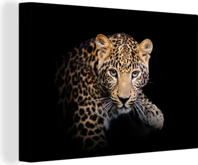 Produktbild von MuchoWow® - Leinwandbilder - Panther - Schwarz - Tiere, Wandbild, Wanddeko Bilder Wohnzimmer, 120x80 cm