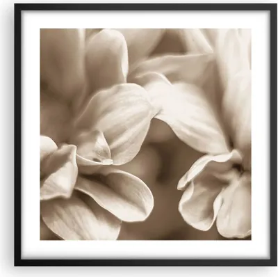 Produktbild von Gerahmtes Poster - Schwarzer Rahmen - Blumen Boho ohne - 50x50 cm - Wand Bild - Wanddeko - Wandbilder - Kunstposter - Wandposter - Bilderrahmen - Bilder - Kunstdruck - Wanddekoration - P2BAC50x50-4767